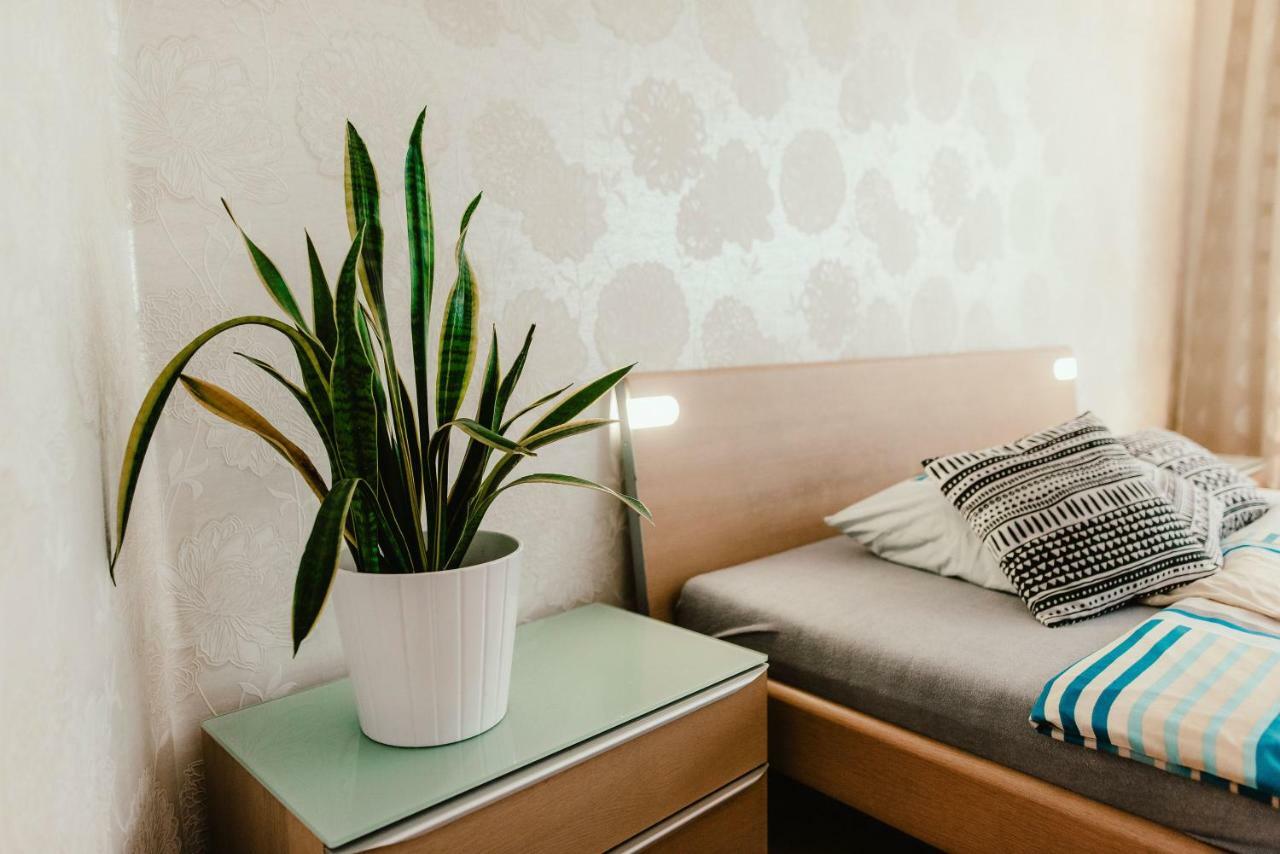 Old Town Apartment Pellicova เบอร์โน ภายนอก รูปภาพ
